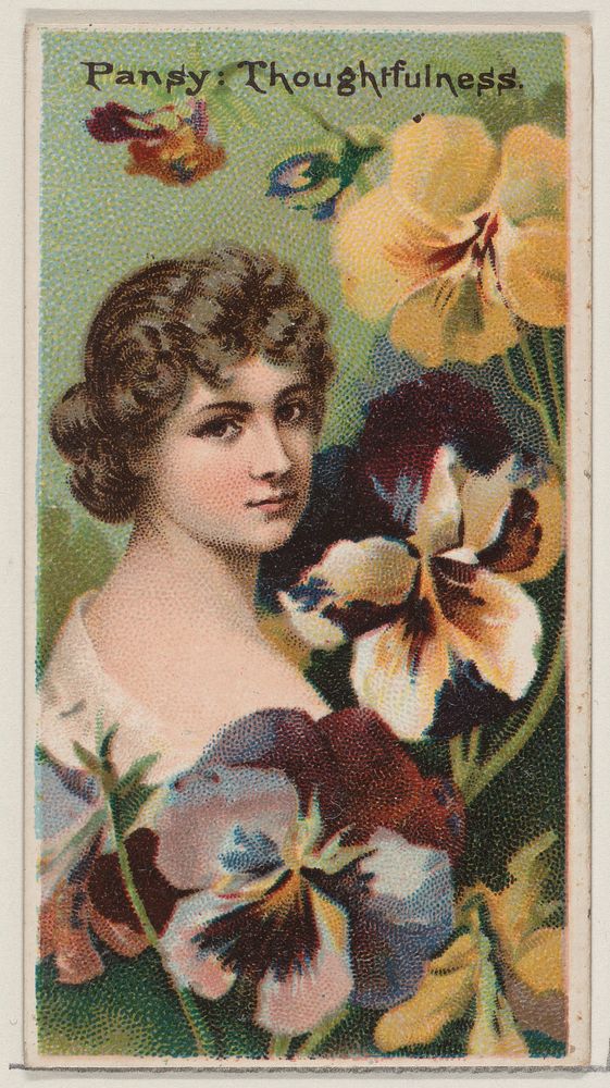 Pansy: Thoughtfulness, from the series Floral Beauties and Language of Flowers (N75) for Duke brand cigarettes issued by…
