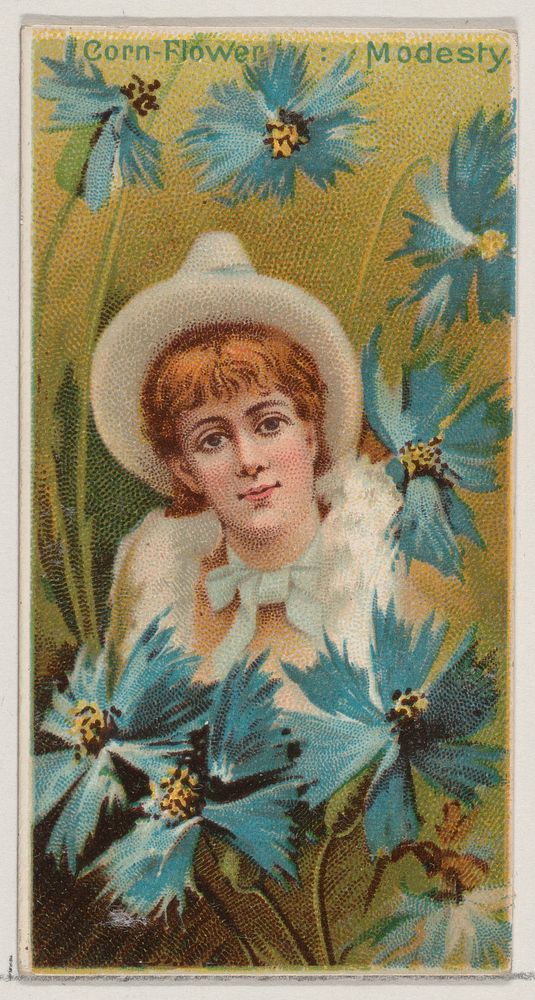 Cornflower: Modesty, from the series Floral Beauties and Language of Flowers (N75) for Duke brand cigarettes issued by…
