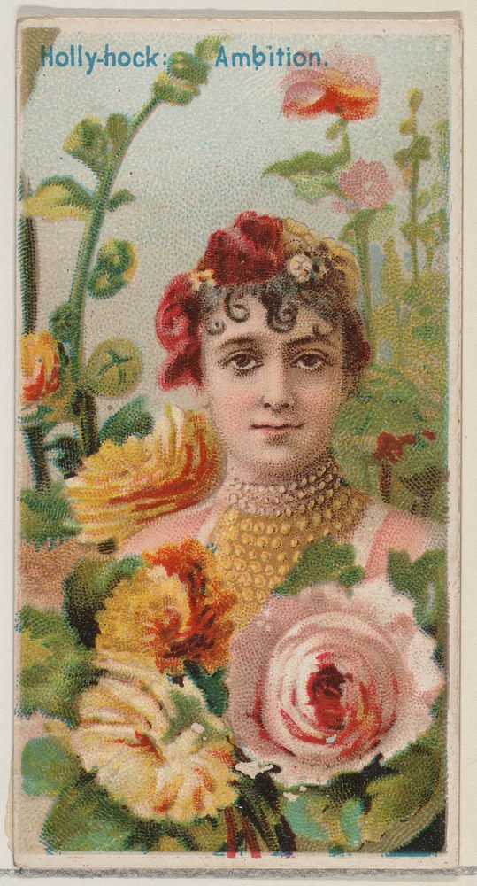Hollyhock: Ambition, from the series Floral Beauties and Language of Flowers (N75) for Duke brand cigarettes issued by…