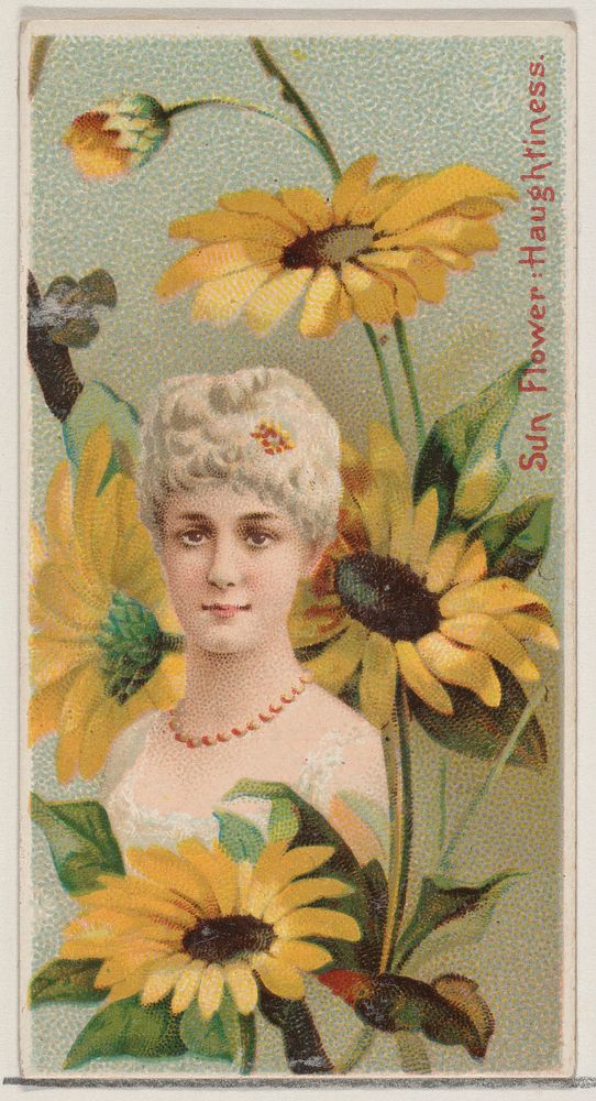 Sunflower: Haughtiness, from the series Floral Beauties and Language of Flowers (N75) for Duke brand cigarettes