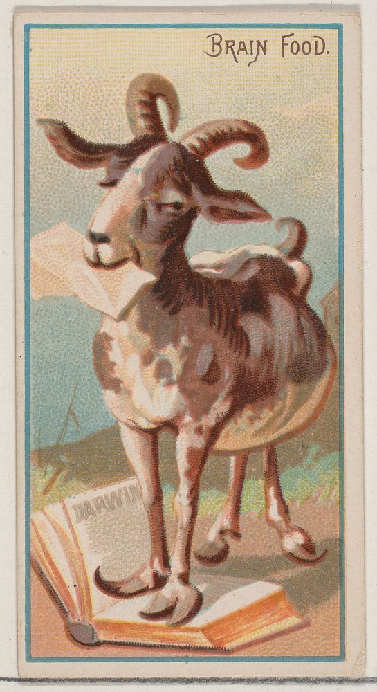 Brain Food, from the Jokes series (N87) for Duke brand cigarettes, issued by W. Duke, Sons & Co.
