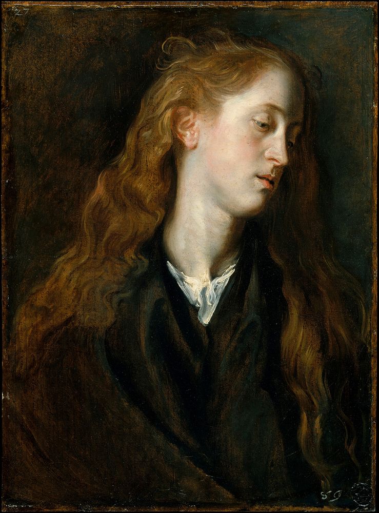 Study Head of a Young Woman by Anthony van Dyck