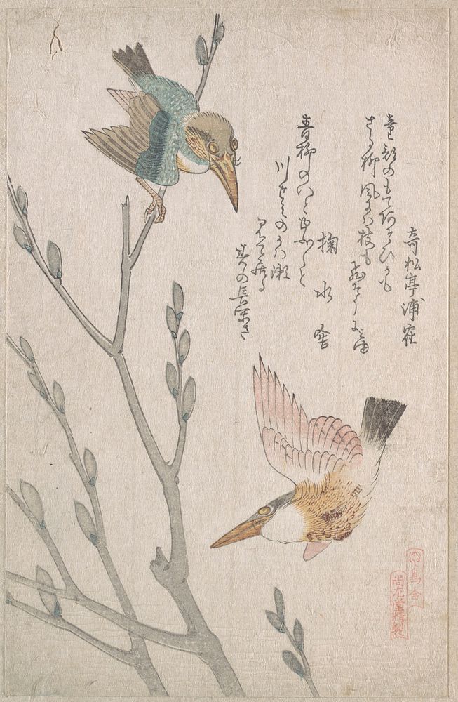 Kingfishers and Pussy-willow by Kubo Shunman