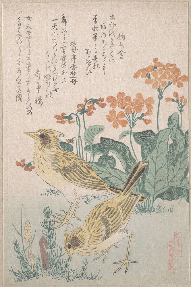 Skylarks and Primroses,” from the Series An Array of Birds (Tori awase), from Spring Rain Surimono Album (Harusame surimono…