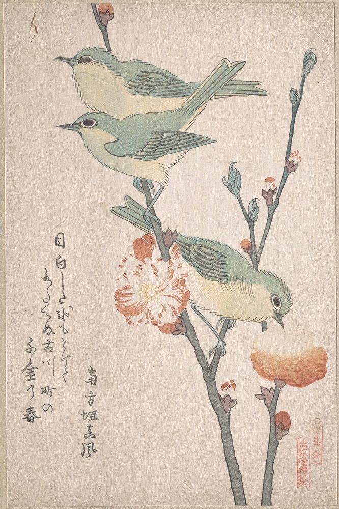 Japanese White-eyes on a Branch of Peach Tree,” from the Series An Array of Birds (Tori awase), from Spring Rain Surimono…