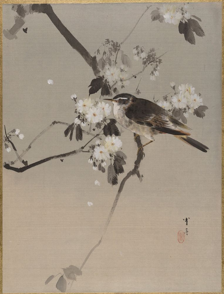 Birds on a Flowering Branch by Watanabe Seitei