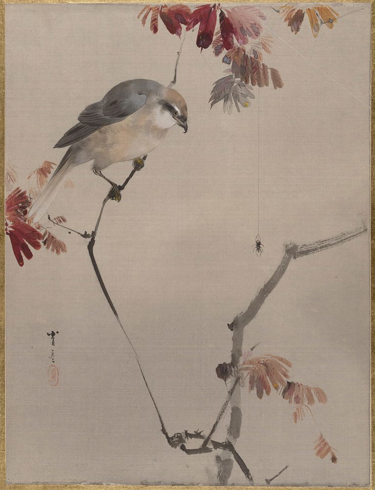 Bird on Branch Watching Spider by Watanabe Seitei