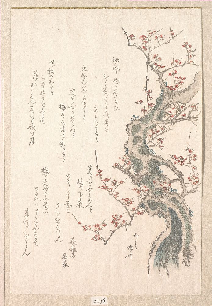 Spring Rain Collection (Harusame shū), vol. 1: Plum Tree in Bloom by Ryūryūkyo Shinsai