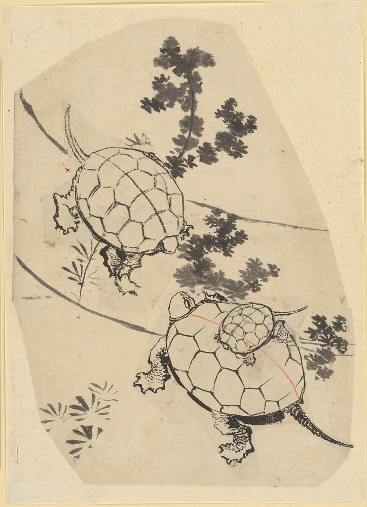 Turtles, attributed to Katsushika Hokusai