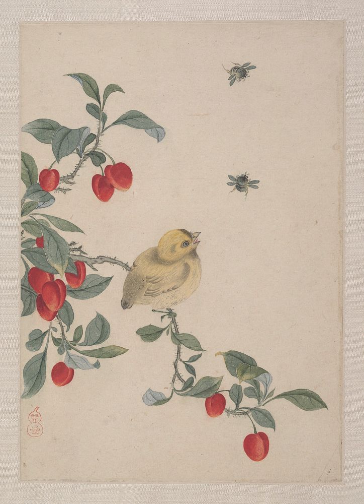 Birds, Insects and Flowers 