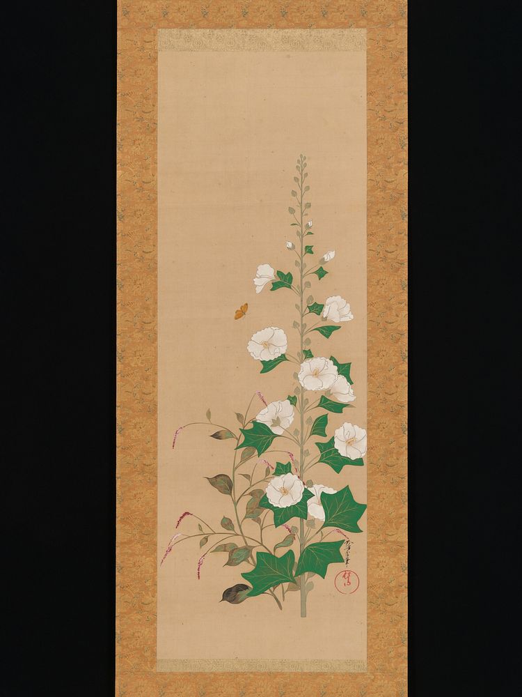 Hollyhocks and Prince&rsquo;s-Feather Flowers by Sakai Ōho
