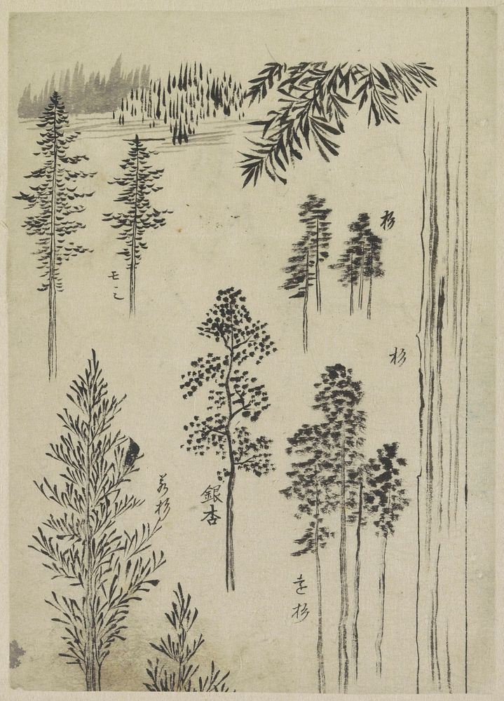 Hokusai's Pine tree (1790). Original public domain image from the Rijksmuseum.