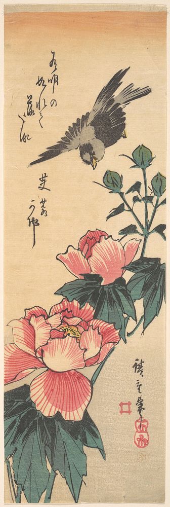 Sparrow and Hibiscus. Original public domain image from the MET museum.