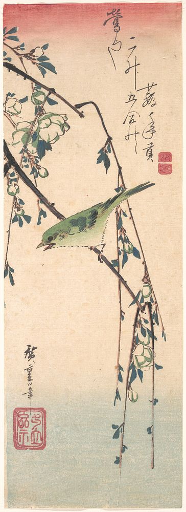 Utagawa Hiroshige (1835) Warbler on a Plum Branch. Original public domain image from the MET museum.