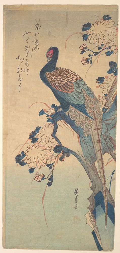 Utagawa Hiroshige (1835) Pheasant with Chrysanthemums. Original public domain image from the MET museum.