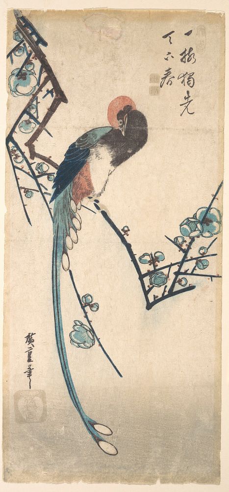 Long Tailed Bird. Original public domain image from the MET museum.