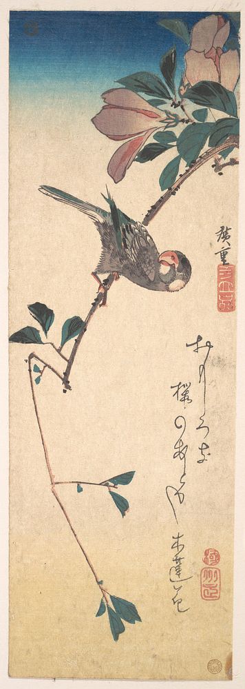 Purple Magnolia and Hornbill. Original public domain image from the MET museum.