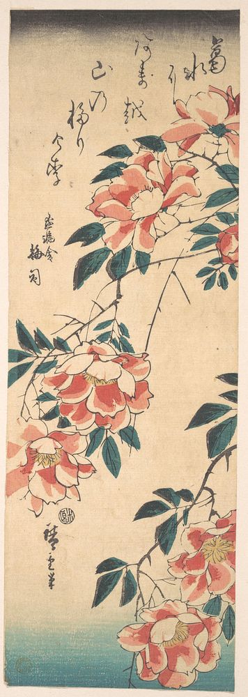 Utagawa Hiroshige's Rose. Original public domain image from the MET museum.