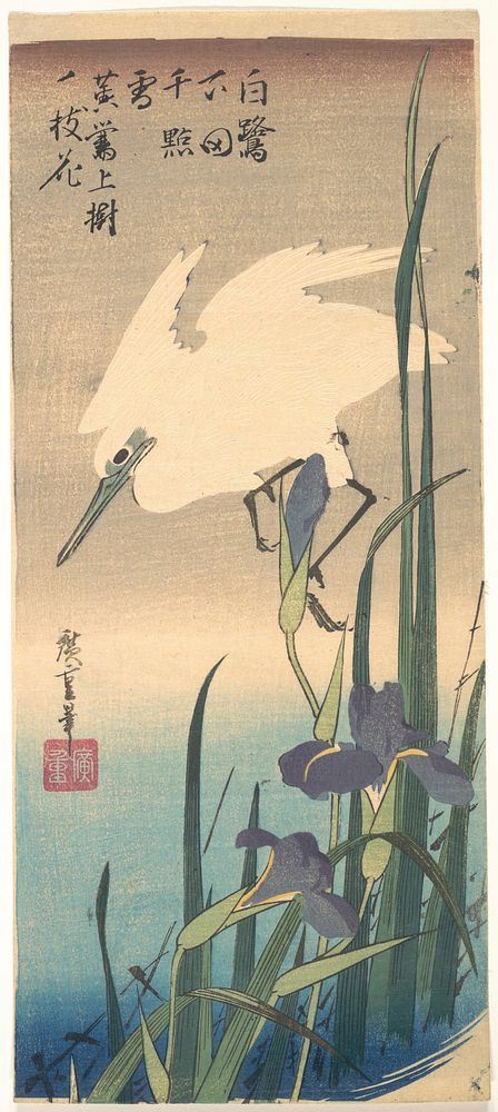 White Heron and Iris. Original public domain image from the MET museum.