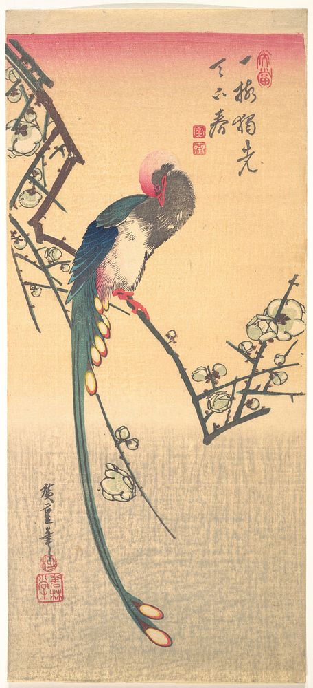 Bird on a Plum Branch. Original public domain image from the MET museum.