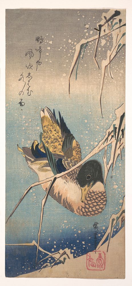 Mallard and Snow-covered Reeds (1843). Original public domain image from the MET museum.