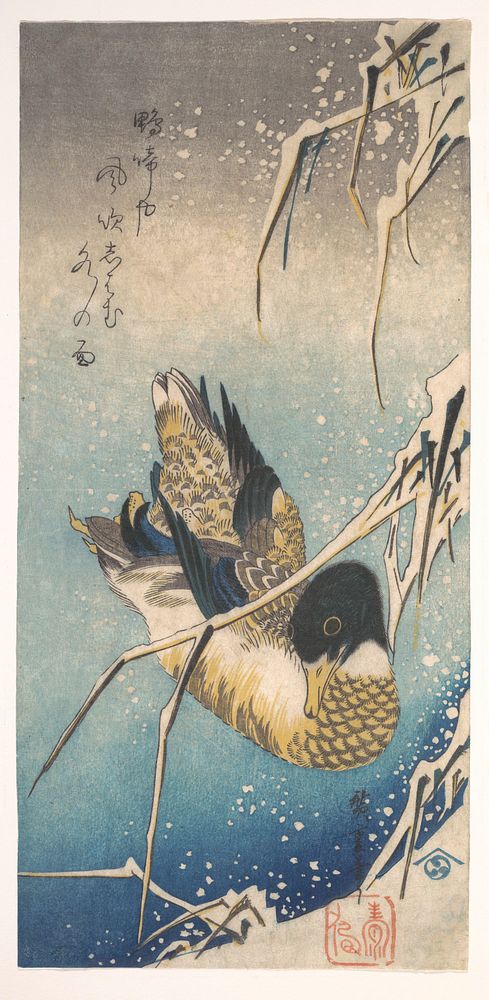 Mallard and Snow-covered Reeds (1843). Original public domain image from the MET museum.