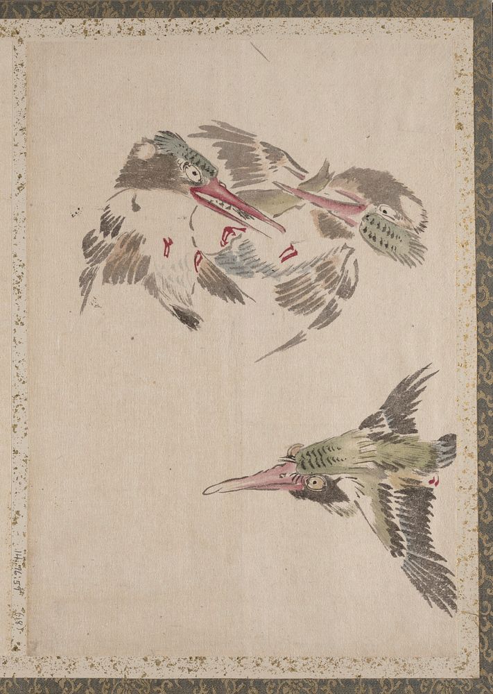 Bird Album of Sketches by Katsushika Hokusai and His Disciples. Original public domain image from the MET museum.