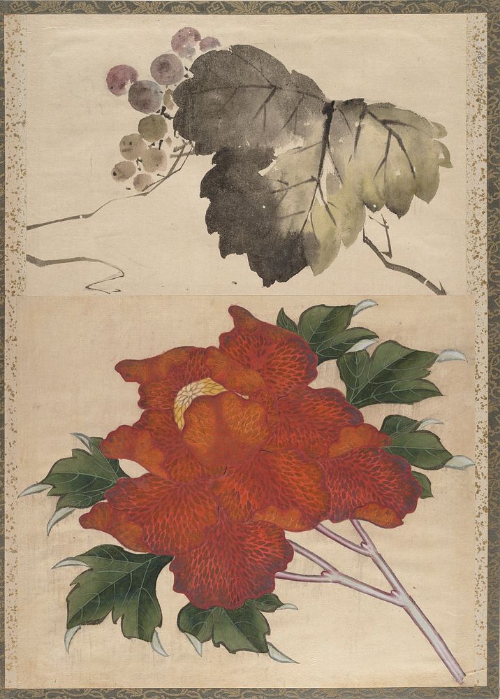 Katsushika Hokusai’s flower, Album of Sketches (1760–1849) painting. Original public domain image from the MET museum.