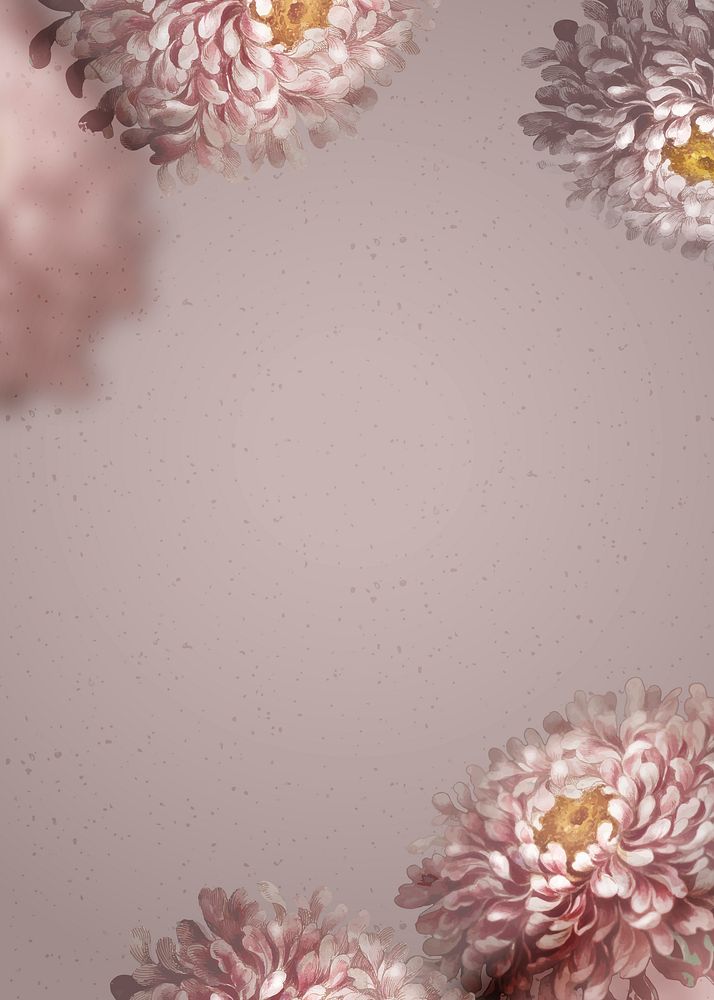 Flower background, aster illustration