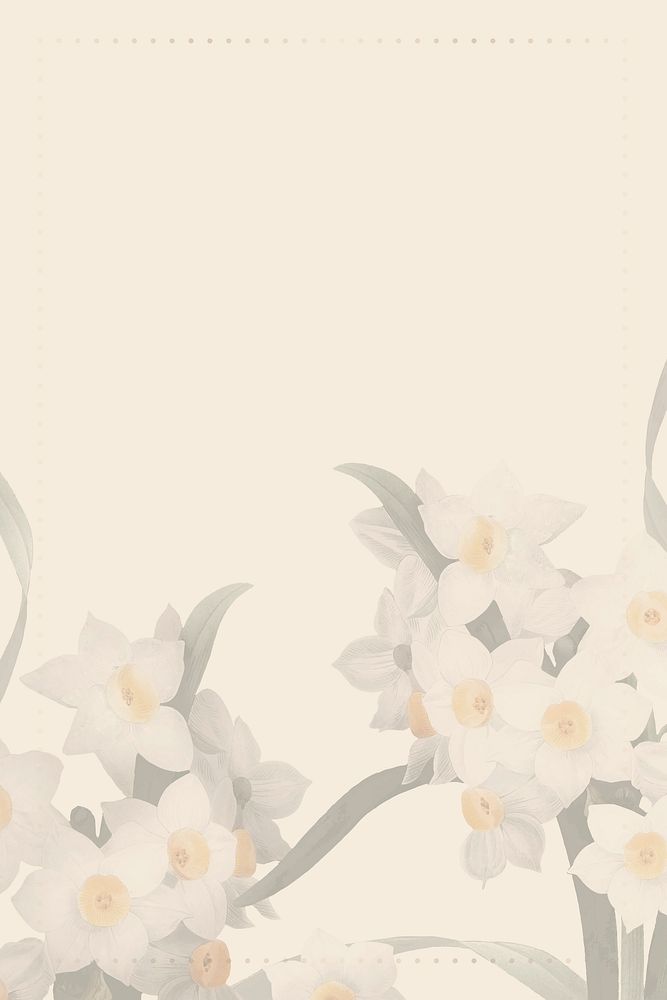 Beige background, Easter daffodil illustration