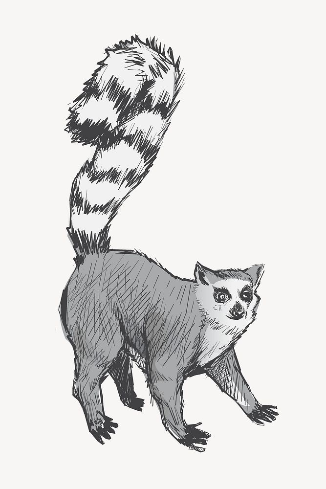 Gray Lemur sketch animal illustration psd