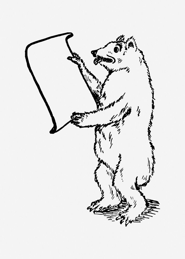 Bear reading illustration. Free public domain CC0 image.