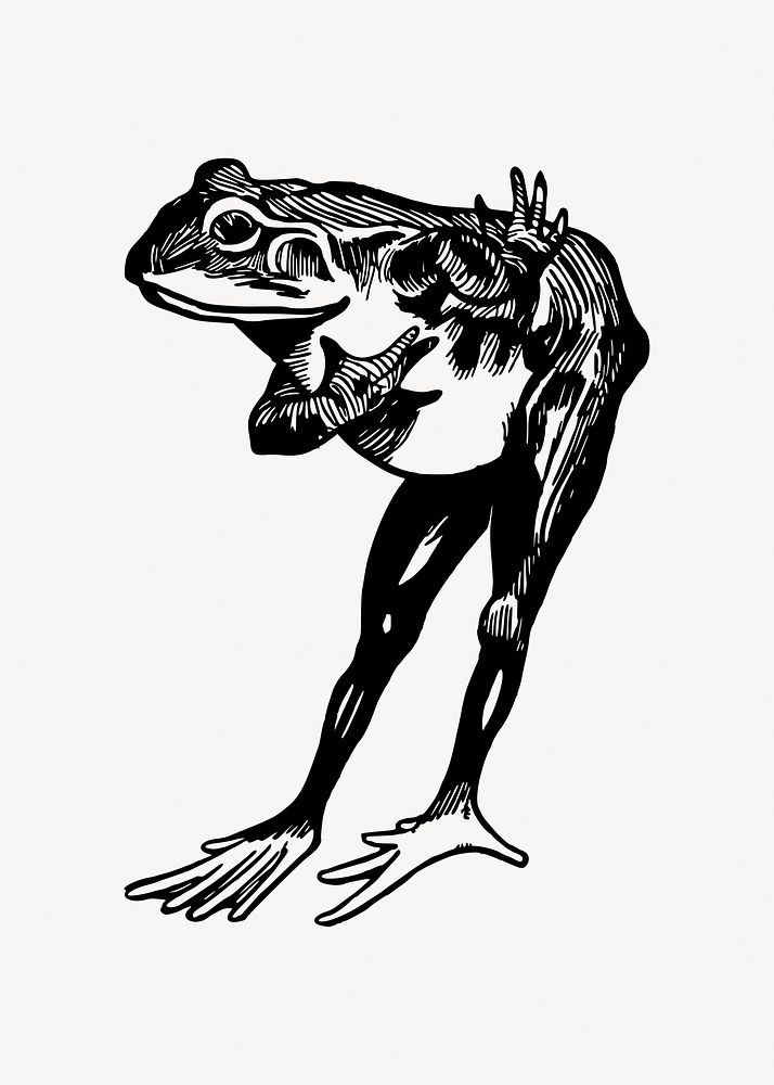 Frog clipart illustration vector. Free public domain CC0 image.