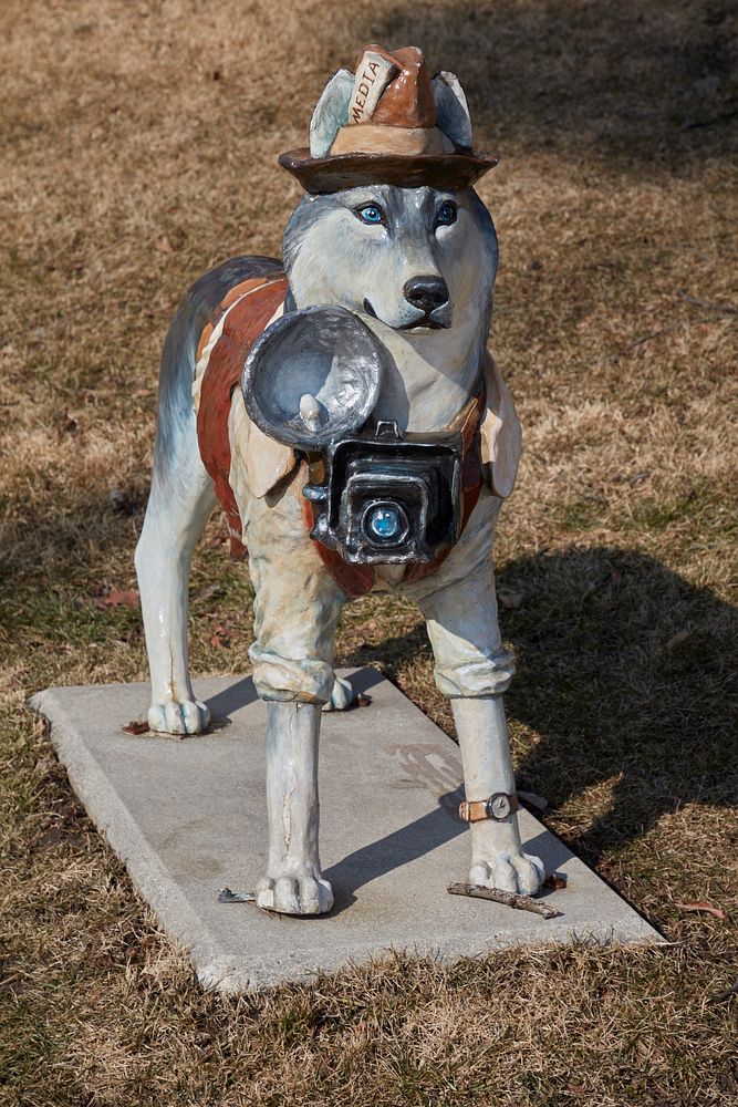                         A husky-as-intrepid-reporter statue on the campus of Northern Illinois University in DeKalb…