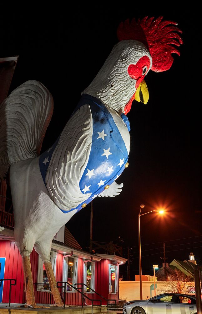                         A giant chicken in front of a restaurant in Branson, Missouri, once an obscure Ozark Mountain town…
