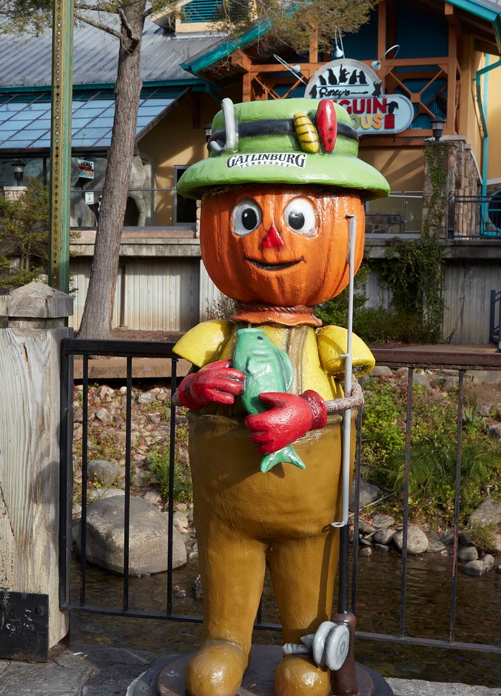                         One of several Thanksgiving-season pumpkin characters makes an appearance on the street in…