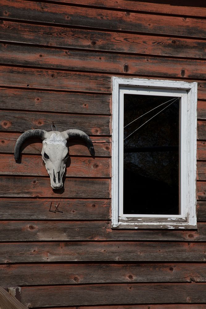                         A cabin wall at a small Frontier Village tourist attraction in Jamestown, North Dakota, that is…