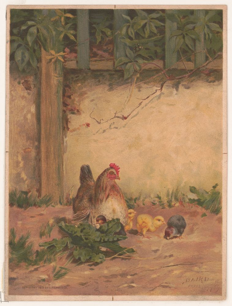 Chickens no. 2