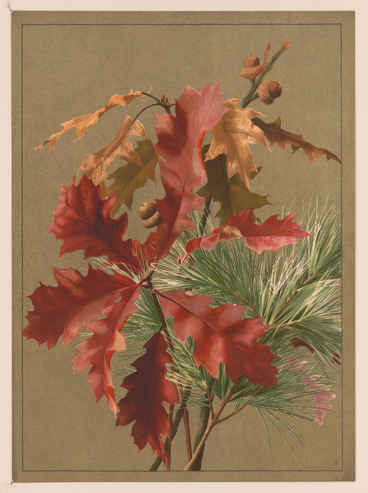 Autumn leaves, no. 1 / after Mrs. E.T. Fisher., L. Prang & Co., publisher