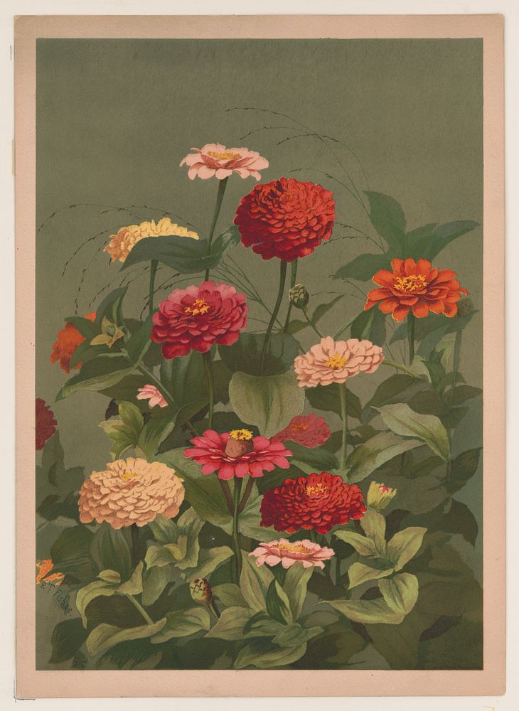 [Flowers] / [after] E.T. Fisher., L. Prang & Co., publisher