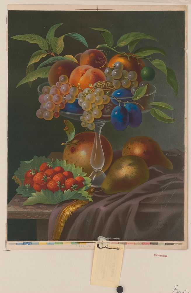 Fruit no. 2, Edmund Foerster & Co., publisher