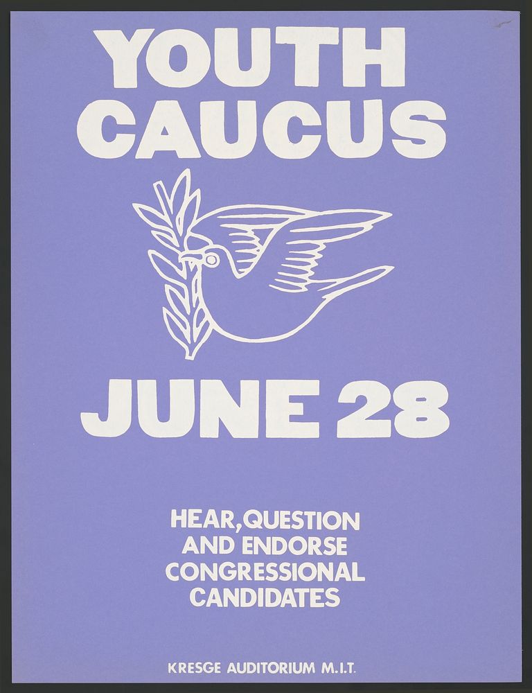 Youth caucus - June 28