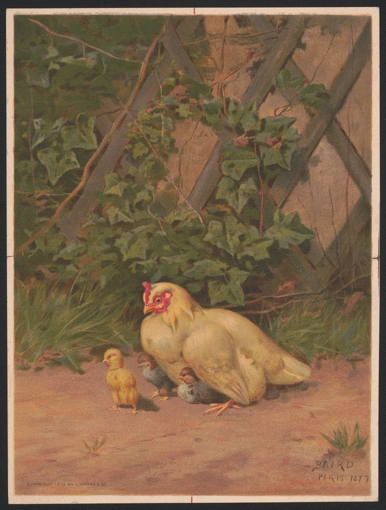 Chickens no. 1 / Baird Paris 1877 ; after Baird., L. Prang & Co., publisher