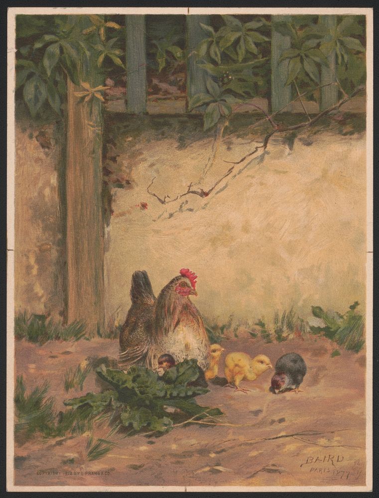 Chickens no. 2 / Baird Paris 1877 ; after Baird., L. Prang & Co., publisher