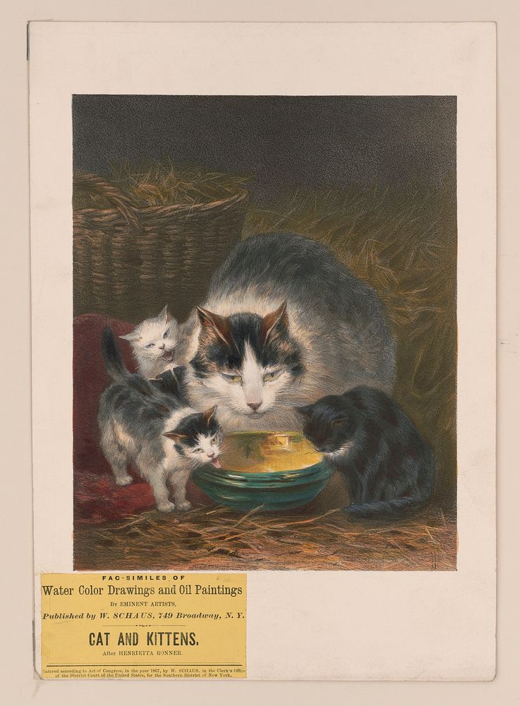 Cat and kittens / after Henrietta Ronner.