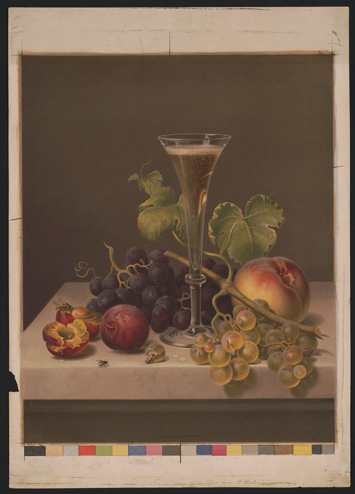 Fruit / Helen Searle., Edmund Foerster & Co., publisher