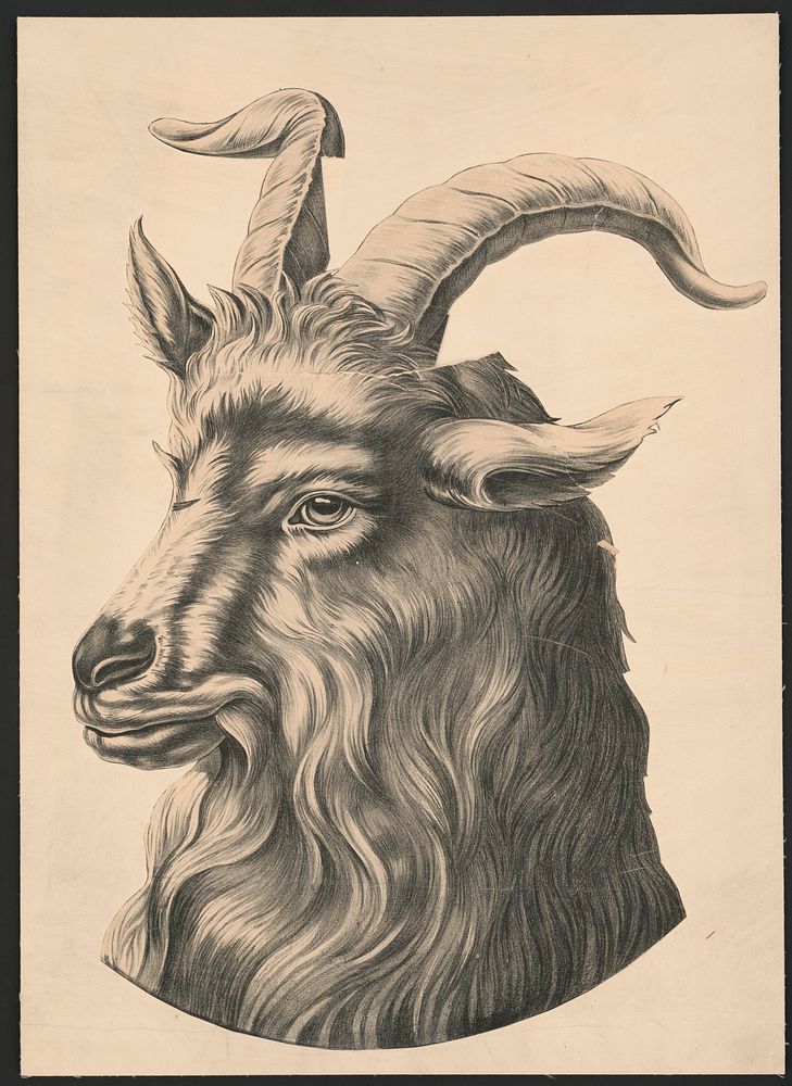 [Goat's head representing bock beer]