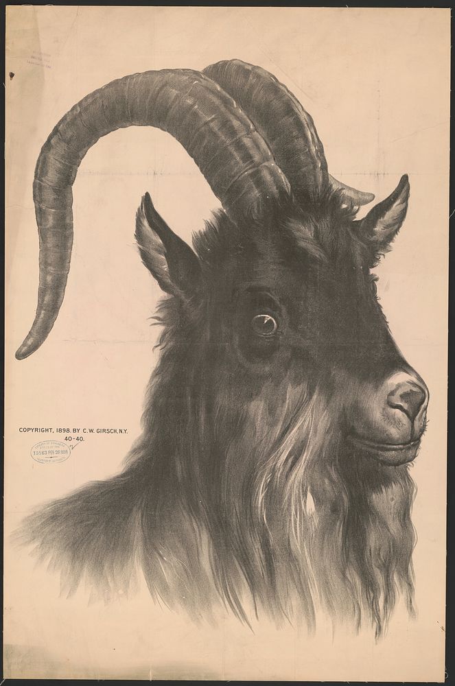 [Head of bock goat, unprinted advertisement], 40-40