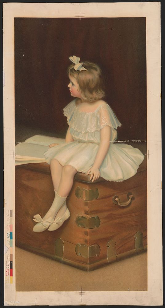 [Young girl, wearing a white and blue dress, sitting on a trunk reading a book]