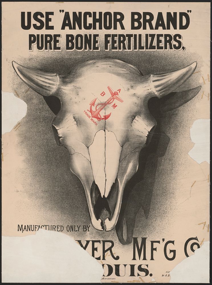 Use "anchor brand" pure bone fertilizers, manufactured only by [?]er mf'g co., [St. L]ouis